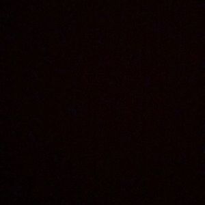 Meet your Posher, Amelya